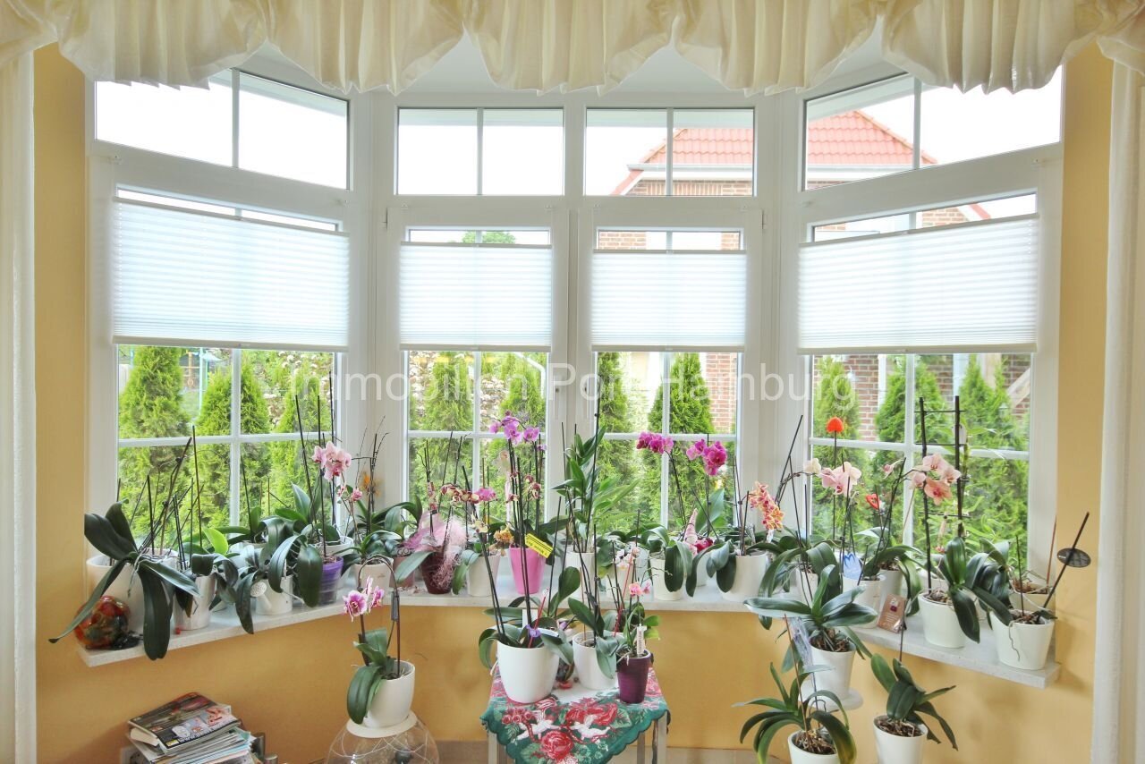 Bright winter garden with an elegant panoramic window front – your personal plant paradise! Bright winter garden with an elegant panoramic window front – your personal plant paradise!